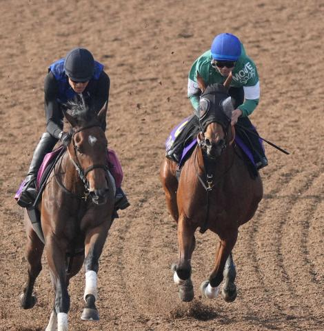 【安田記念】ブレイディヴェーグ　戸崎背に切れた　馬なり5F66秒3「筋肉量が増えてる」