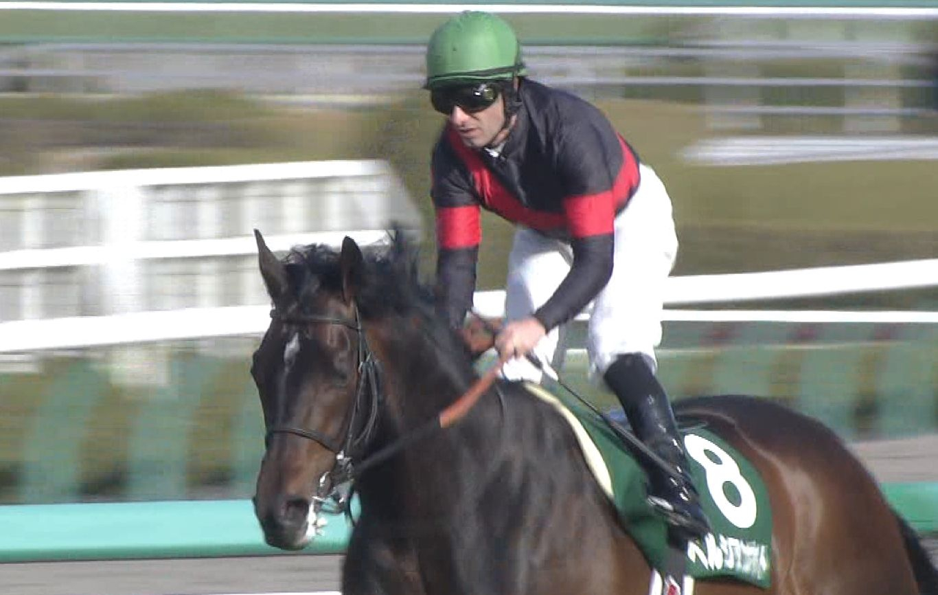 【競馬】率直に聞くけど今年の皐月賞を制して欲しい馬は？