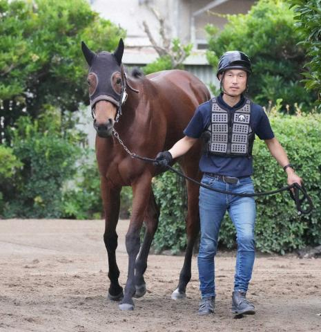 【安田記念】ブレイディヴェーグ大外一気!東京向きの決め手