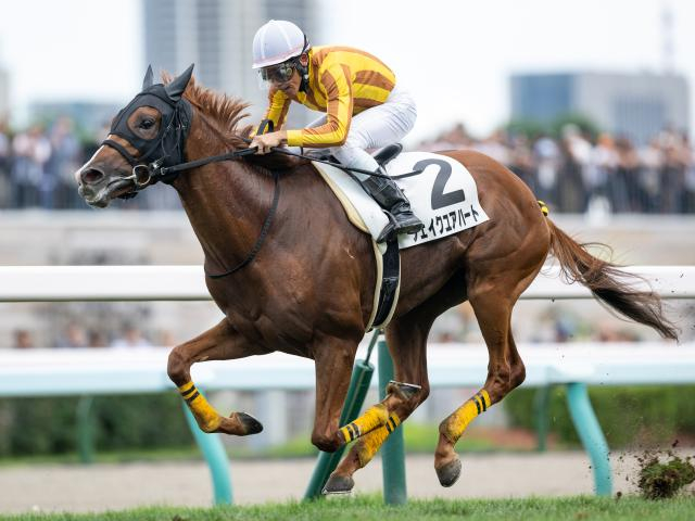 【今日の注目ポイント】JRA新馬戦が開幕 レーヌミノルの仔テンユウなどデビュー