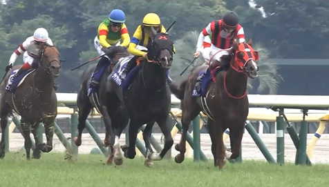 川田騎手の牡馬といえばジャンタルマンタルになりそうやなあ　他