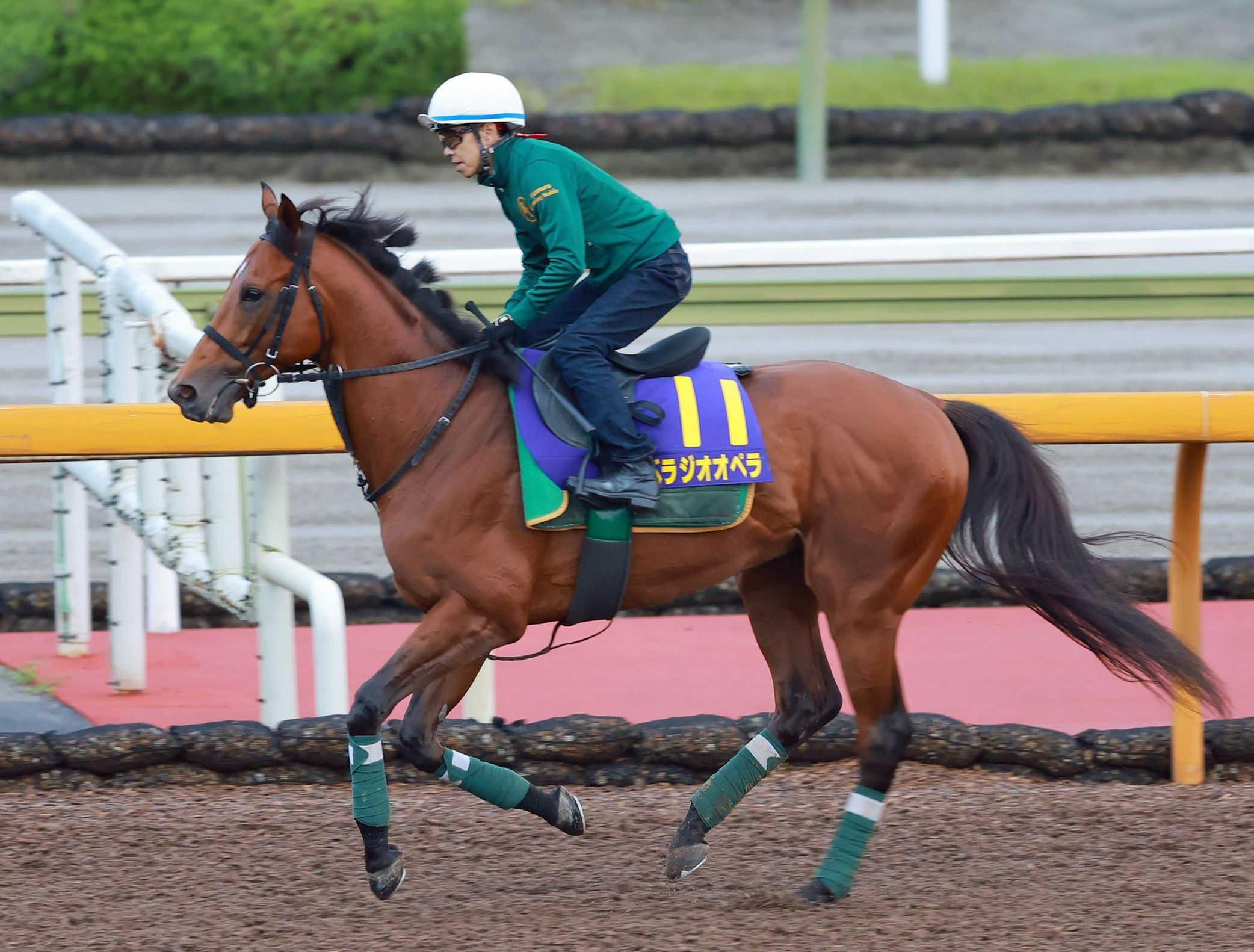【宝塚記念】ベラジオオペラ　ファン投票１位堂々主役でＧ１・３勝目狙う　上村師「期待したい」条件変わりを歓迎