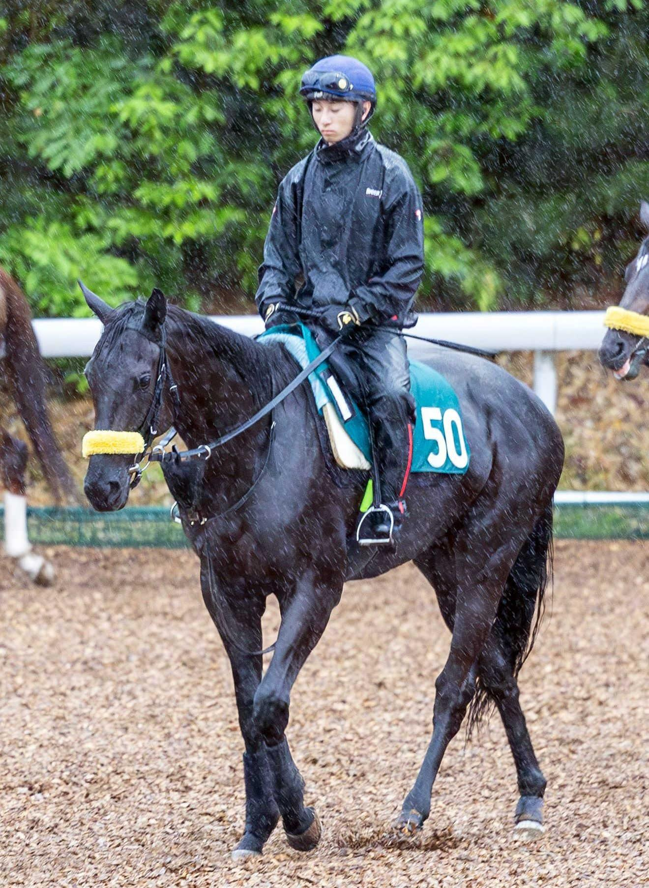 【新馬戦】ブラックコーラル　デビュー戦へ「順調に来ています」　父はキタサンブラック