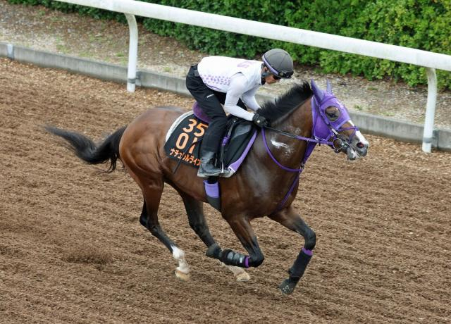 【東京ダービー】ナチュラルライズが2冠制覇　1番人気に応えて1億円獲得　逃亡劇に横山武史騎手「作戦の範囲内」