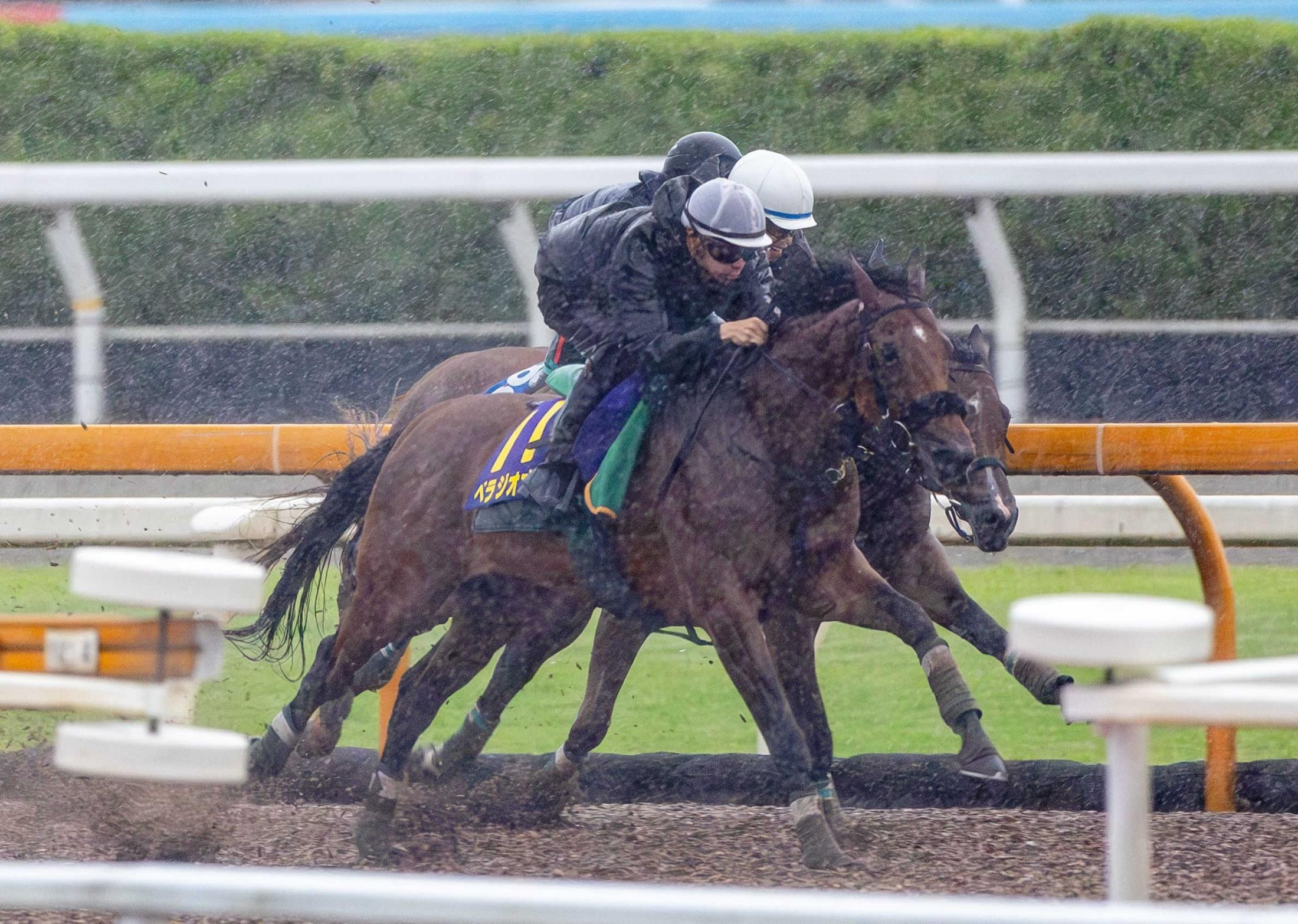 【宝塚記念】ベラジオオペラ　昨年の雪辱　大阪杯から上積み　横山和「折り合いの良さ、反応の鋭さ確認」