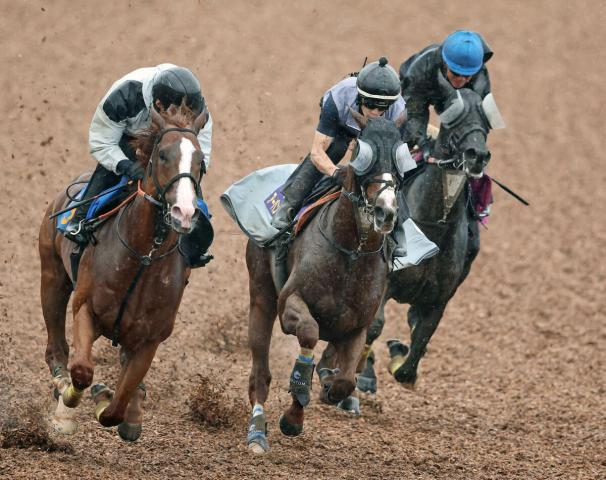 【宝塚記念】心身充実した昨年の菊花賞馬「これまでで一番」武井調教師確かな成長を実感