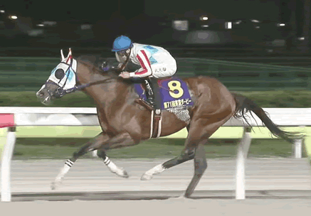 【東京ダービー】ナチュラルライズ強すぎワロタ