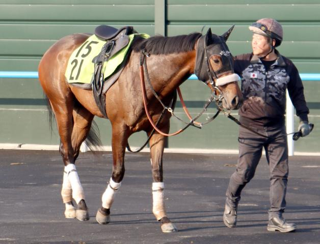 【POG】近親にG1馬ワールドプレミアを持つカイショー　函館開幕デーの初陣へ好気配