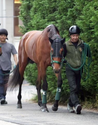 【宝塚記念】ファン投票1位のベラジオオペラは最内1枠1番、半年ぶりレガレイラは大外8枠17番