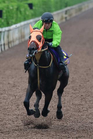 【宝塚記念】(16)ショウナンラプンタ　やる気出てきた!高野師「一発を狙うなら今回の舞台」