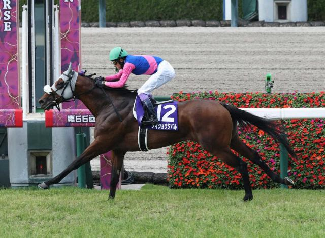 【宝塚記念】メイショウタバル“豊マジック”V　2着は1番人気ベラジオオペラ、3着ジャスティンパレス