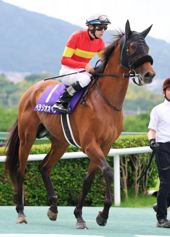 【宝塚記念】ファン投票1位ベラジオオペラは2着　阪神初黒星　逃げたメイショウタバルとらえられず