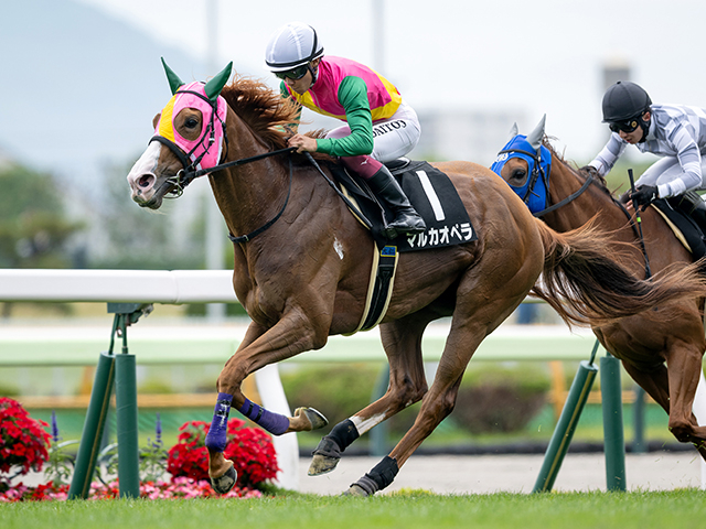 【八雲特別レース後コメント】マルカオペラ小沢大仁騎手ら