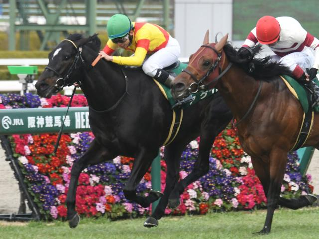 【先週のJRA抹消馬】23年阪急杯覇者アグリ、重賞2着4回のマイネルウィルトスなど