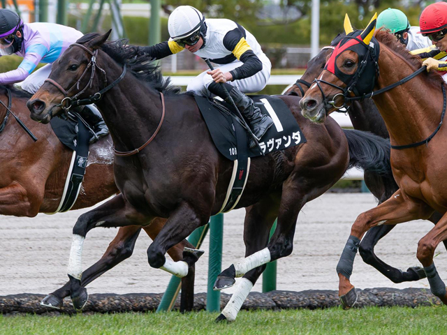 【府中牝馬S展望】大幅な条件替わりも4歳馬ラヴァンダを狙う