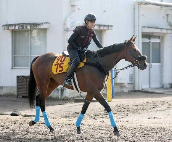 【府中牝馬S】フィールシンパシーは重賞初制覇へ虎視眈々　小島調教師「ここを目標にやってきた」