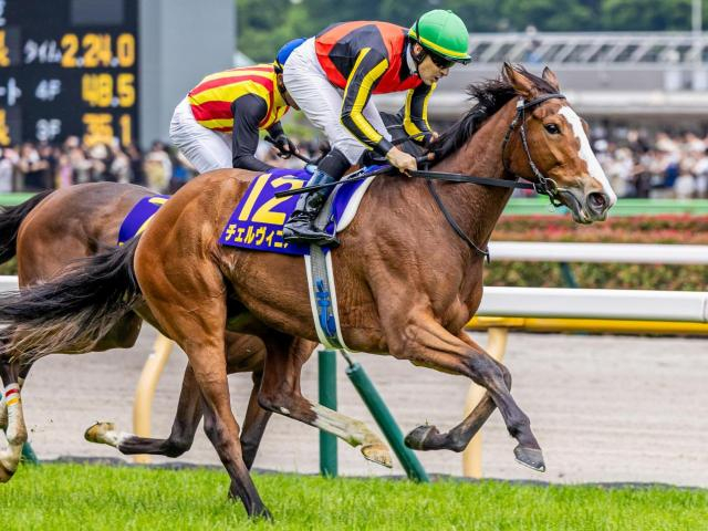 【しらさぎS】オークス馬がGIII制覇なら20年ぶり！ チェルヴィニアが復活Vなるか