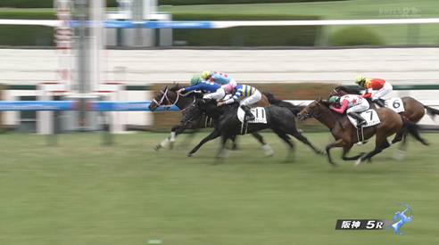 【土曜阪神5R新馬戦】いよいよいっくん×コントレイル産駒か…