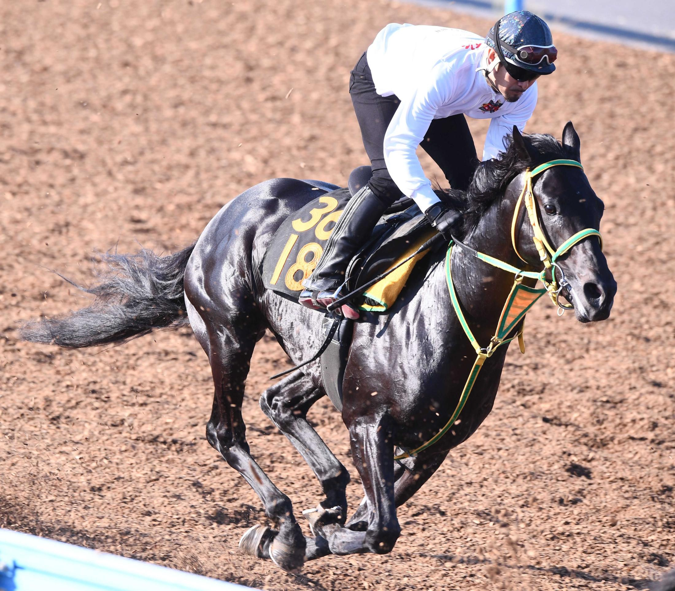 【ラジオＮＩＫＫＥＩ賞】フクノブルーレイク　初重賞Ｖでリスタート飾るか　ダービー選ばず現実路線