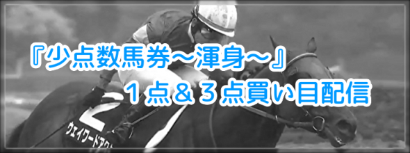 今回は途中退会(返金対応)可です『少点数馬券〜渾身〜』1点＆3点買い目配信のご案内