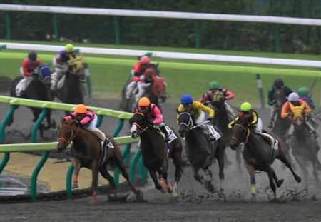 芝ダート二刀流の好きだった馬