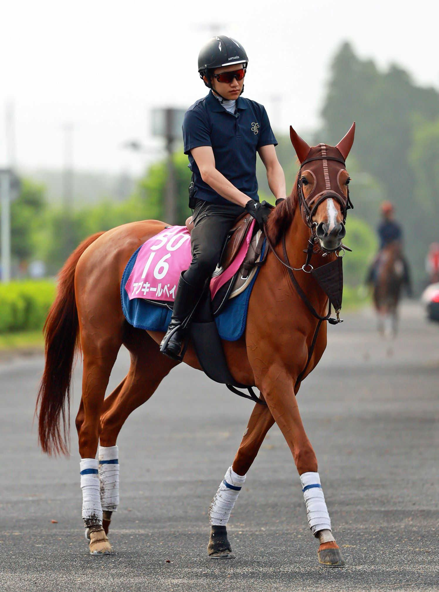 【北九州記念】アブキールベイ　重賞連勝だ　前走葵Ｓ激走Ｖ！３歳馬勢いそのまま
