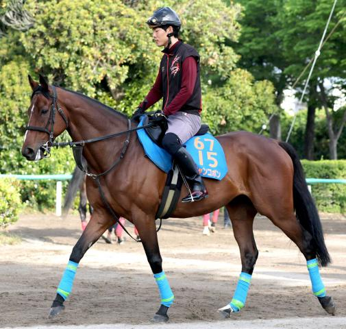 【注目馬動向】巴賞と両にらみだったオニャンコポンは菅原明良騎手で七夕賞へ　小島調教師「いい時の感じ」復調気配