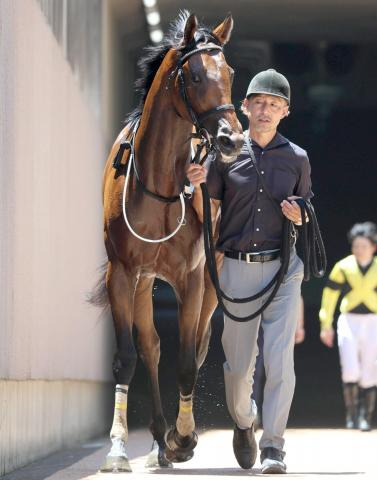 【注目馬動向】東京で新馬戦快勝のサノノグレーターは新潟2歳Sへ