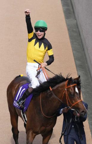 パンジャタワーの鞍上は引き続き松山弘平　キーンランドC→豪ゴールデンイーグルを予定