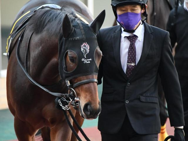 【竜飛崎特別】5億円馬リアド ダート4戦目で2年半ぶりの勝利なるか