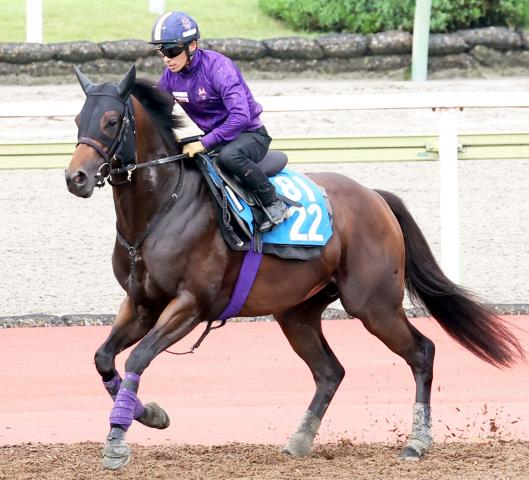【北九州記念】単勝1ケタ台が6頭で1番人気でも6・7倍の大混戦　馬連&3連単は1番人気馬以外からが売れ筋