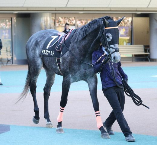 【七夕賞】伏兵ドラゴンヘッド一発あるぞ!　過去10年1番人気は1勝だけ…