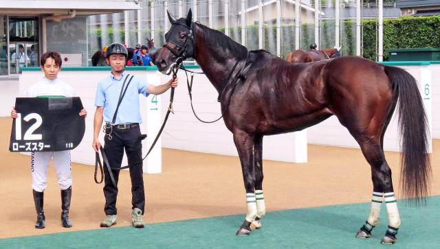 【小倉11R・阿蘇S】団野大成騎手が会心騎乗「思った以上のパフォーマンスでした」5番人気ローズスターがオープン初勝利