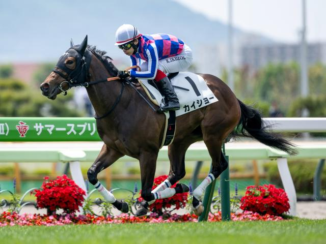【函館2歳S予想オッズ】カイショーが予想1番人気