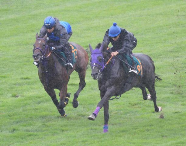 【函館2歳S】クラディスティーナ　芝で迫力満点!!　ラスト1F11秒4