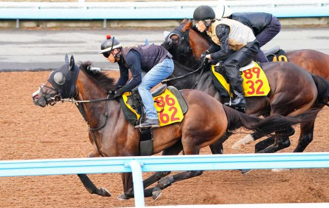 【福島テレビ賞】オーブルクール　元気に3頭併せ5F67秒5「十分余裕のある動き」