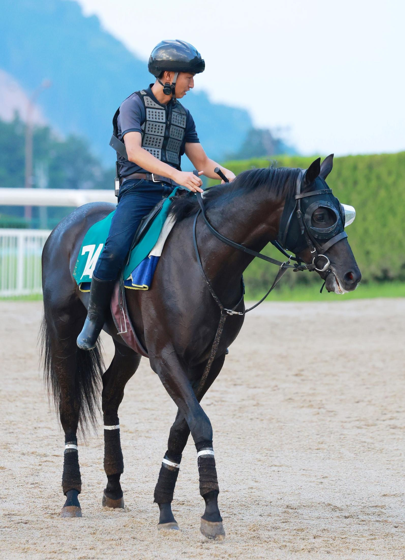 【新馬戦】ベレシート　母はＧ１・４勝のクロノジェネシス　斉藤崇師も及第点「動きはいいですね。一つずつ覚えていければ」