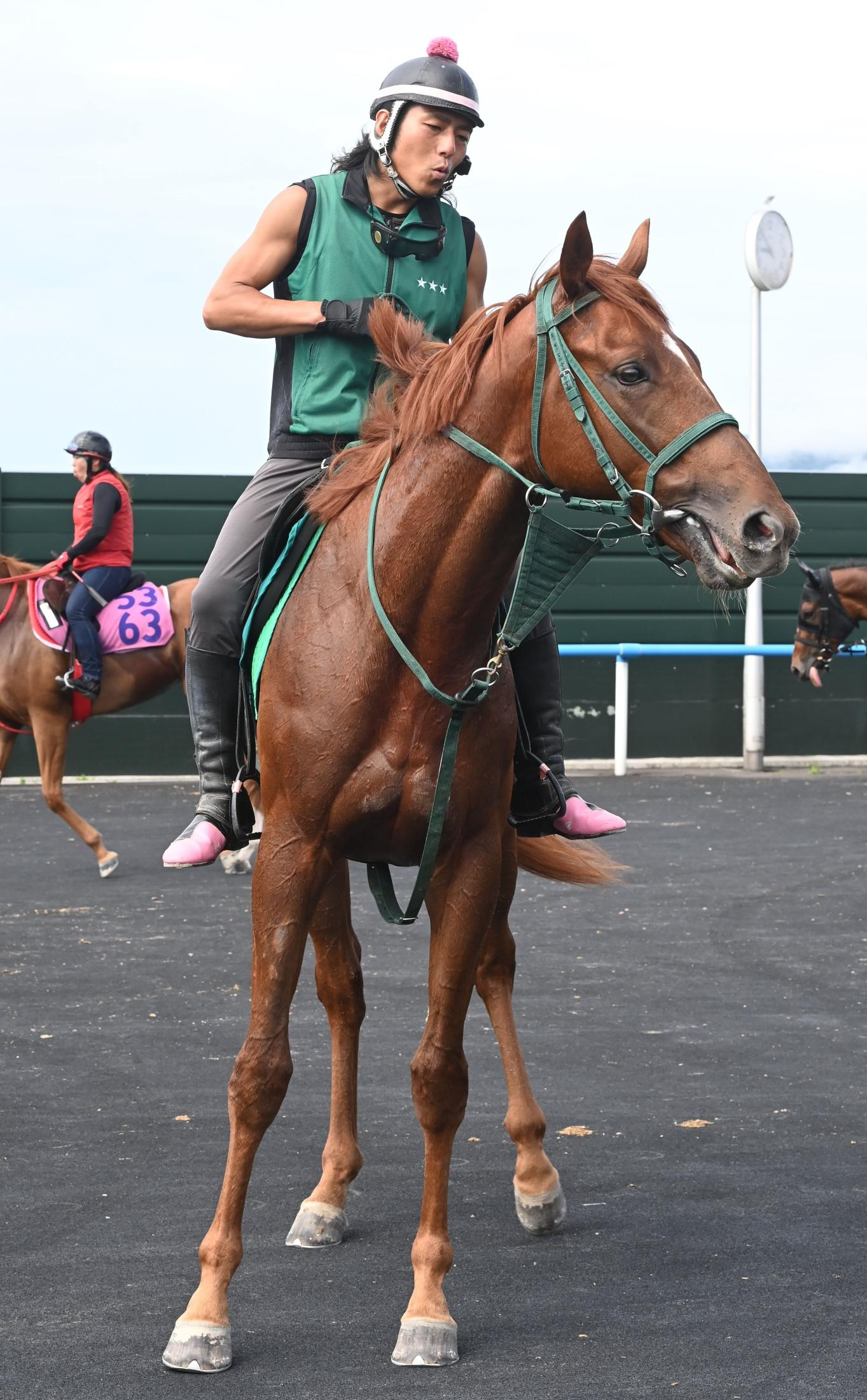 【新馬戦】アーレムアレス動き良化　酒井助手「思い通りの調整ができています」　姉は“あーちゃん”アーテルアストレア