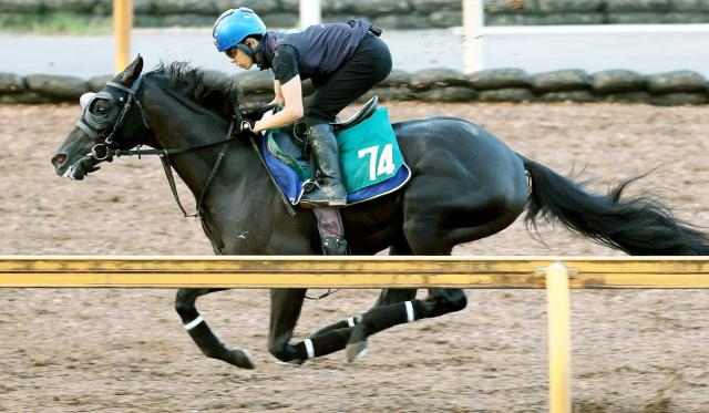 名牝クロノジェネシスの初子ベレシート　北村友一騎手と斉藤崇史調教師