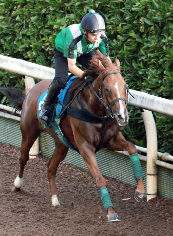 【小倉記念】前走で善戦マン返上　シェイクユアハートが連勝で重賞初制覇へ　直近15戦2着7回3着4回
