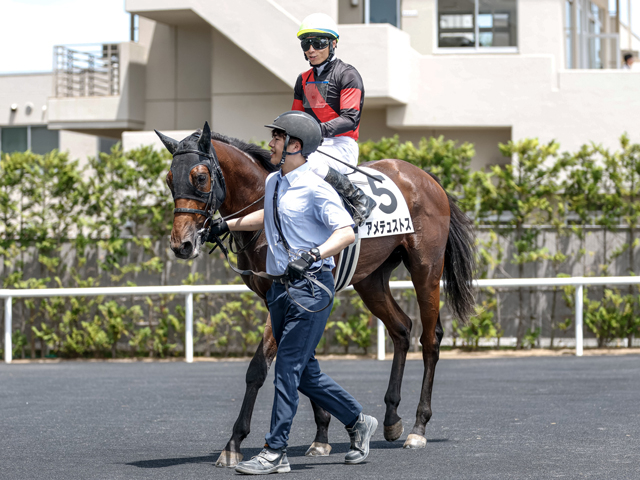 【2歳未勝利福島3Rレース後コメント】アメテュストス大野拓弥騎手ら