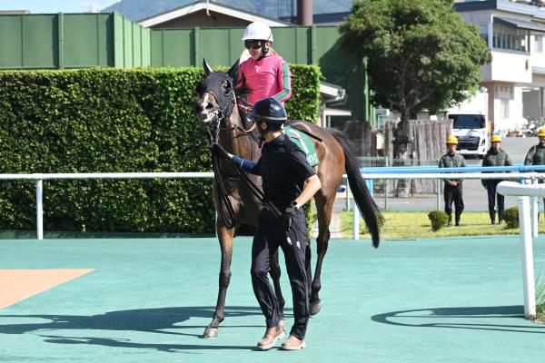 【関屋記念 AI予想】不安要素は思いのほか少ない!? AIが指名した伏兵は波乱を演出できるか