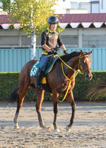 【札幌新馬戦】ハグレジョー　初戦から期待「奥がありそうな感じ」