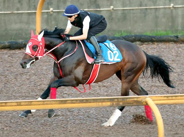 【東海S】砂4戦無敗のビダーヤはCWコースで活気十分　坂井瑠星騎手「ダートでは底を見せていない」