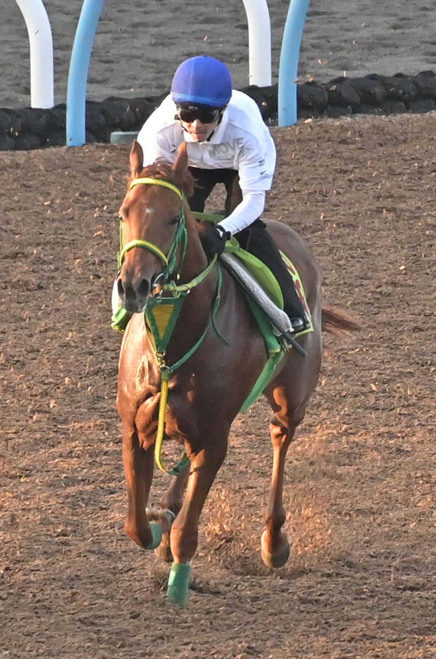 【新馬戦】ラプランセス　祖母はＧ１馬・レジネッタ　センスは高評価　相田助手「日に日に落ち着きが出てきた」