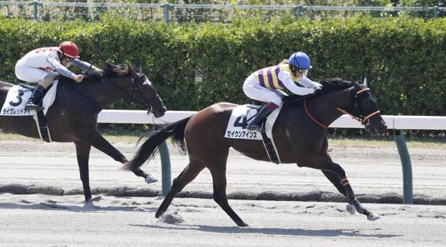 【新潟1R・2歳未勝利】夏の新潟オープニングレースは今村聖奈騎手がV「西山オーナーの馬で勝ててすごくうれしい」