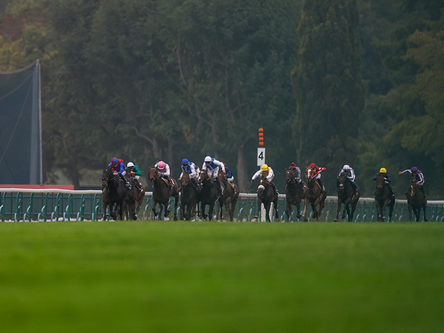 【フランスギャロの日本馬優遇策】日本競馬の悲願成就へ大きな追い風！── 一方で目を逸らせない“日本優遇”が孕む競馬産業全体の危機とは
