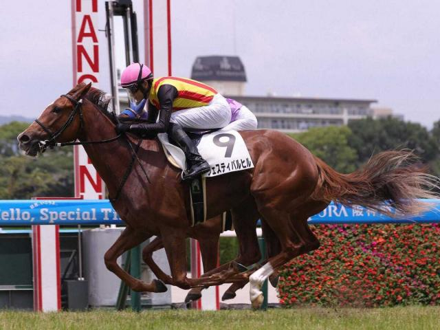 阪神マイルで新馬勝ちのフェスティバルヒルは新潟2歳Sへ　皐月賞馬ミュージアムマイルの半妹