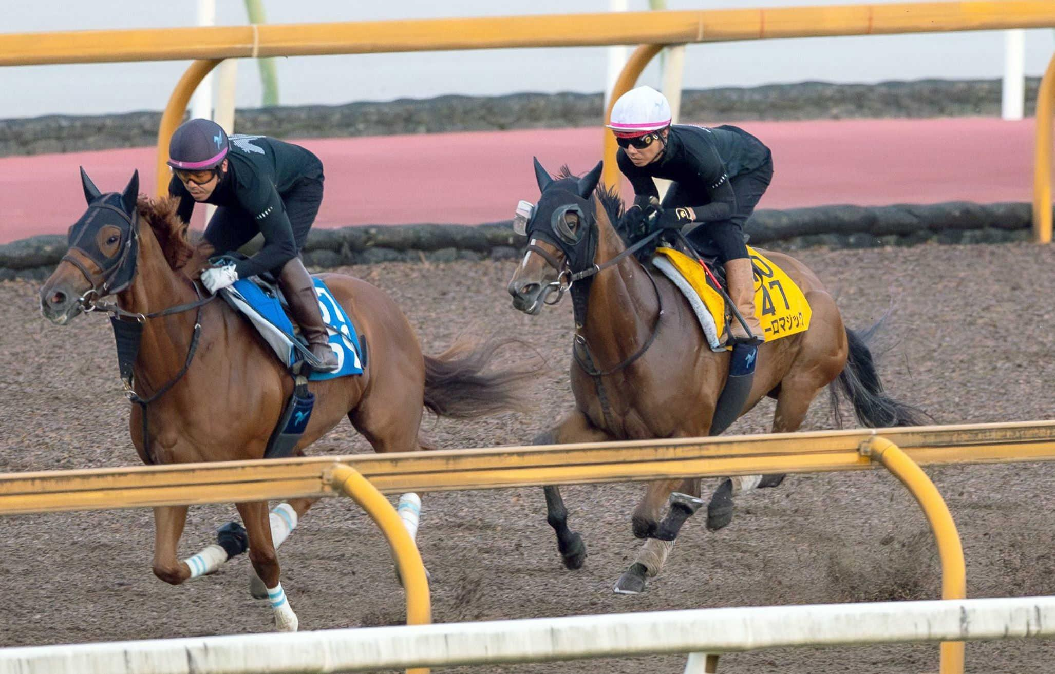 【アイビスＳＤ】ピューロマジック　反撃の”仕掛け”は控える競馬　２４年・北九州記念以来となる重賞３勝目へ　