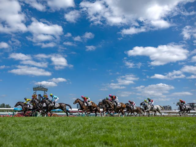 【クイーンS結果】アルジーヌが人気に応えて重賞2勝目